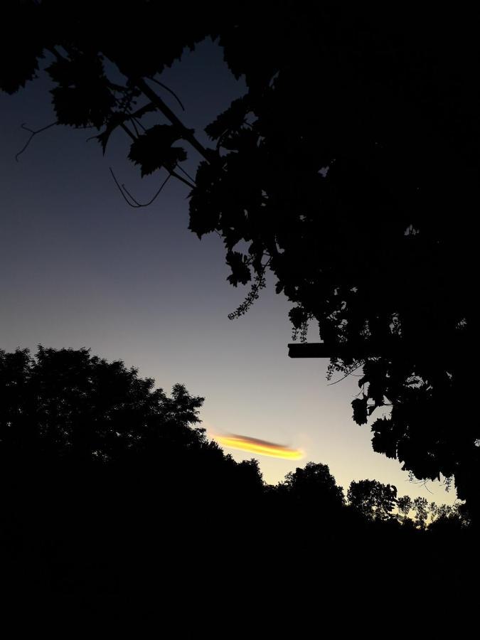 B&B La Riundela Asti Buitenkant foto