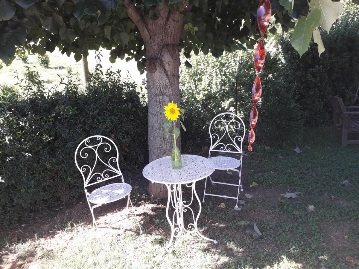 B&B La Riundela Asti Buitenkant foto